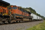 BNSF 988 Roster shot.